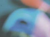 Luci artificiali, invertebrati, tempi lunghi fotografia: tutto Reggio Emilia