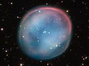 fantasma della civetta