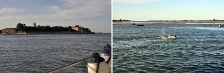 Escursione in laguna di Venezia 