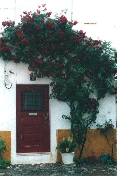 Top Post dal mondo expat #27.7.15