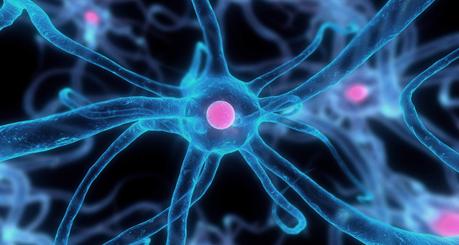 L’Università di Ottawa usa il Rift per curare il Parkinson