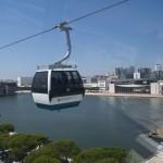 Da vedere a Lisbona: l’Oceanário