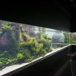 Da vedere a Lisbona: l’Oceanário