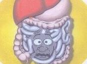 Fermenti lattici probiotici, loro azione