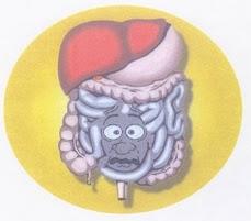 Fermenti lattici probiotici, la loro azione