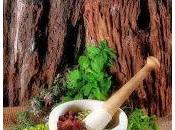 fitoterapia nell'antica India