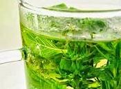 tecnica della macerazione: come estrarre principi attivi dalle piante