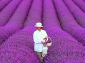 rimedio contro l'emicrania, Abracadabra