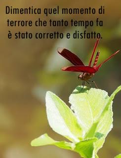 Sceglierai soltanto tra andare verso il Cielo o non andare da nessuna parte. Parte 3.