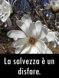 Se scegli lo spirito, il Cielo stesso si inchinerà fino a toccarti gli occhi e benedire la tua santa vista. Parte 1.