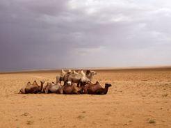 Viaggio in Mongolia: il Gobi, un deserto ricco di colori e di fascino