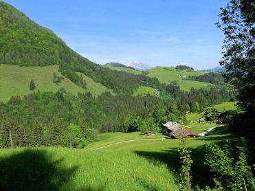 Trekking con i lama per le valli del Tirolo