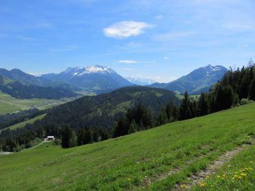 Trekking con i lama per le valli del Tirolo
