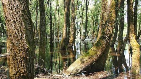 Itinerari estivi sulle Dolomiti