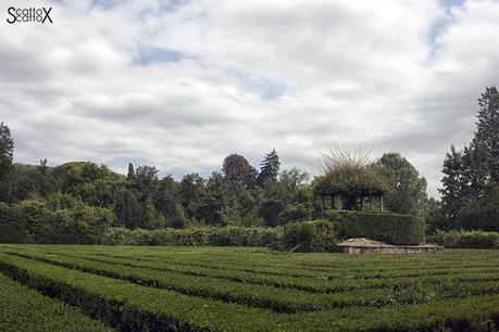 Il Giardino Monumentale di Valsanzibio per Il blog delle Galline Padovane