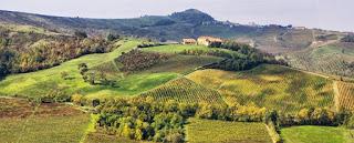 MILANO. Nella vendemmia la Lombardia punta ad un +10%.