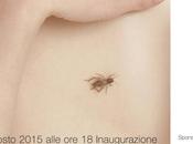 MILANO: SMART LOCUTION Duemila grilli vivi l’installazione Giulio Crosara Spazio SEICENTRO