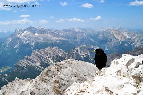 Dolomiti in mtb e vie ferrate: adrenalina ad alta quota!