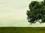 Imparare affrontare realta’