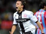 Nuova avventura Galloppa!