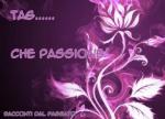 Tag… passione!