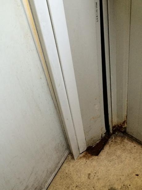 Foto ributtanti. Ecco come i tassisti sono costretti a lavorare a Ciampino