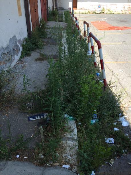 Foto ributtanti. Ecco come i tassisti sono costretti a lavorare a Ciampino