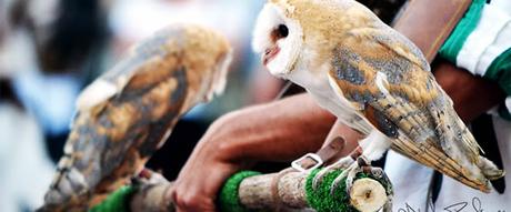 Il Palio de li Normanni a Sant’Angelo d’Alife