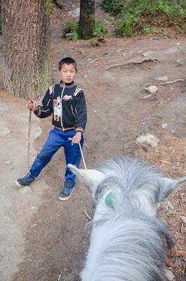 Bhutan - Il Tiger nest
