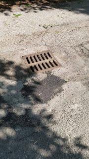 PAVIA. Prosegue su Facebook la protesta dei borghigiani contro il senso unico: nasce il gruppo 