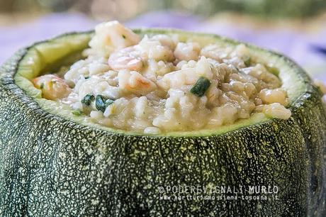 Ex Machina e i segreti in una zucca