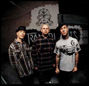 Percorsi biografico-musicali: T come... Transplants