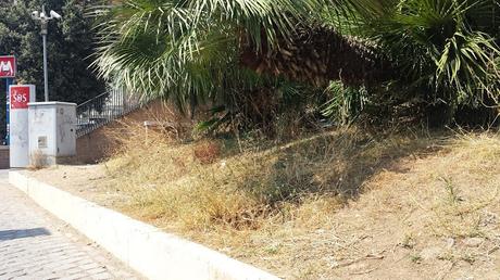 Cerchi la zona più sciatta di una città super sciatta? Vai di fronte al Colosseo sulla straordinaria terrazza panoramica...