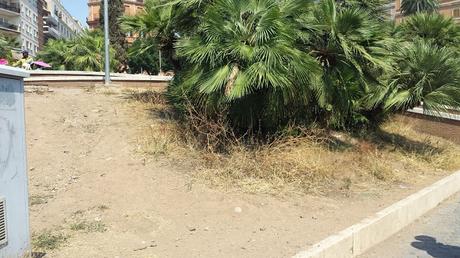 Cerchi la zona più sciatta di una città super sciatta? Vai di fronte al Colosseo sulla straordinaria terrazza panoramica...