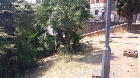 Cerchi la zona più sciatta di una città super sciatta? Vai di fronte al Colosseo sulla straordinaria terrazza panoramica...