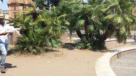 Cerchi la zona più sciatta di una città super sciatta? Vai di fronte al Colosseo sulla straordinaria terrazza panoramica...