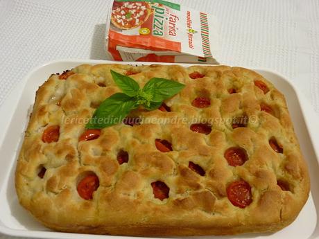 Focaccia bella soffice e alta, con pomodorini e lievito madre