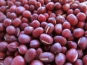 Insalata seitan alla messicana