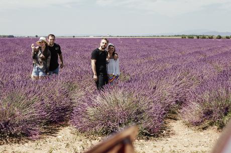 Provenza, altopiano di Valensole, lavanda a luglio, Sandra Bacci e Irene Colzi