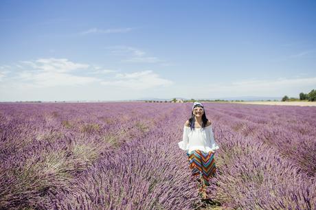 Provenza, altopiano di Valensole, lavanda a luglio, Sandra Bacci