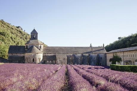 Provenza , Abbazia di Senanque, luci del tramonto