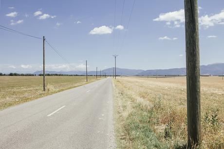 Provenza, altopiano di Valensole