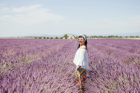 Provenza, altopiano di Valensole, lavanda a luglio, Sandra Bacci, cine sunglasses