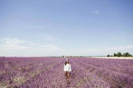 Provenza, altopiano di Valensole, lavanda a luglio, Sandra Bacci