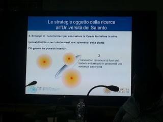 Sviluppo di un sistema di diagnosi precoce con METABOLONI e mobilità dei nanovettori nei vasi xilematici, senza che la pianta reagisca distruggendoli o inglobandoli al fine di curare gli alberi di olivi del Salento infettati dal batterio Xylella Fastid...