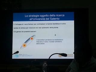 Sviluppo di un sistema di diagnosi precoce con METABOLONI e mobilità dei nanovettori nei vasi xilematici, senza che la pianta reagisca distruggendoli o inglobandoli al fine di curare gli alberi di olivi del Salento infettati dal batterio Xylella Fastid...