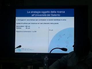 Sviluppo di un sistema di diagnosi precoce con METABOLONI e mobilità dei nanovettori nei vasi xilematici, senza che la pianta reagisca distruggendoli o inglobandoli al fine di curare gli alberi di olivi del Salento infettati dal batterio Xylella Fastid...