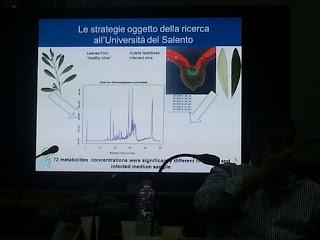 Sviluppo di un sistema di diagnosi precoce con METABOLONI e mobilità dei nanovettori nei vasi xilematici, senza che la pianta reagisca distruggendoli o inglobandoli al fine di curare gli alberi di olivi del Salento infettati dal batterio Xylella Fastid...