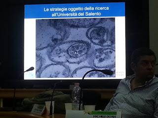 Sviluppo di un sistema di diagnosi precoce con METABOLONI e mobilità dei nanovettori nei vasi xilematici, senza che la pianta reagisca distruggendoli o inglobandoli al fine di curare gli alberi di olivi del Salento infettati dal batterio Xylella Fastid...