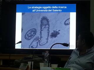 Sviluppo di un sistema di diagnosi precoce con METABOLONI e mobilità dei nanovettori nei vasi xilematici, senza che la pianta reagisca distruggendoli o inglobandoli al fine di curare gli alberi di olivi del Salento infettati dal batterio Xylella Fastid...